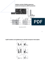 And Affect Crystal and Transposon Pirna Production: Hsp83 Mutations Activate Stellate Sequences