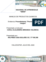 Evidencia Procedimiento Prevención de Riesgos PDF