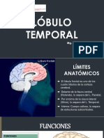 Semana 14 - Lobulo Frontal