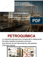 Cap 4 Petroquimica