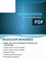 3 Motor Examination