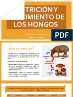 Nutrición y Crecimiento de Los Hongos