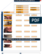 Planilla Práctica CINEANTROPOMETRIA