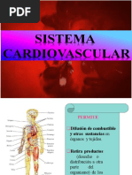 Aparato Cardiovascular (Grupo1)