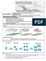 2.2. Resolución 8