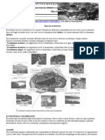 Taller Ciencias Naturales Grado 4 Semana Del 23 Al 27 de Marzo