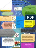 Plegamiento de Proteinas