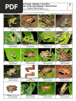 Amphibians of The San Ramón Cloud Forest