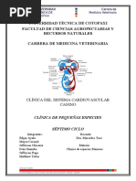 Sistema Cardiovascular Informe Incompleto