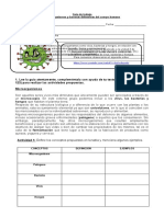 Guía de Virus y Bacterias