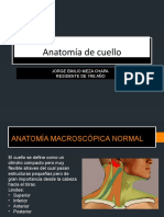 Clase Anatomia de Cuello