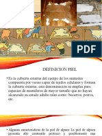 Conservacion de Pieles