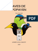 Guía Ilustrada de Aves de Popayán 1 PDF