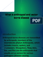 What Is Anthropod and Vector Borne Disease What Is Anthropod and Vector Borne Disease