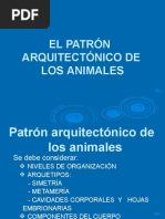 Sesion 2. El Patrón Arquitectónico de Los Animales