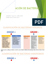 Clasificación de Bacterias: Catedrático: Quispe Pari, Frank Jhosef ALUMNO: Morales Jimenez, Alvaro