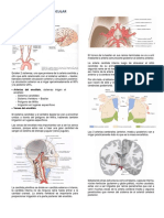 Fisiopato Clase 1 PDF