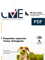 P1 Generalidades de Las Pequeñas Especies Ontogenia de Los Perros y Gatos