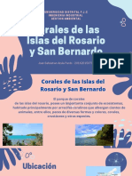 Corales de Las Islas Del Rosario y San Bernardo PDF