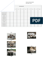 Evaluation Sheet Every MONDAY Tree Sample: Date 1 2 3 4 5 6 7 8 9 10