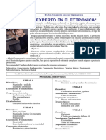 Experto en Electronica PDF