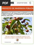 Proyecto de Inversion Pública: Proyecto Especial Datem Del Marañon, Alto Amazonas, Loreto, Condorcanqui - Pedamaalc