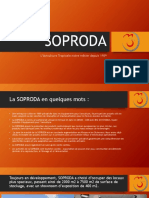 Presentation Soproda 2020 PDF