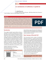 Action and Resistance Mechanisms of Antibiotics: A Guide For Clinicians