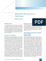 Chapter 1 - Molecular Mechanisms of Cell Death - 2009 - Molecular Pathology