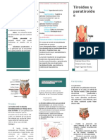 Bioquimica Folleto