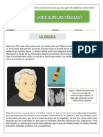 Guia 1 - La Célula 4 PDF