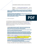 Microbiologia - Bacterias