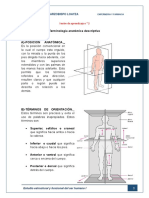 Anatomia 2