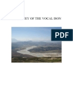 A Journey of The Vocal Ison