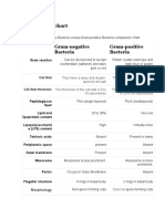 Comparison Chart of Gram +ve & - Ve