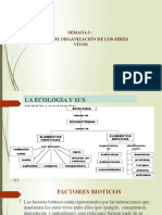 Semana 3 Niveles Organizacion