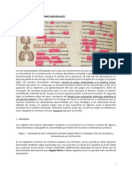 Las Abreviaturas Medievales PDF