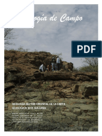 Informe Geologia de Campo