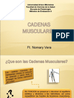 Cadenas Musculares