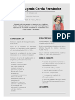 Plantilla CV 13 Gratis InfoJobs