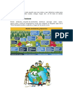 Introducción Medio Ambiente