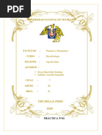 Informe 02 MICROBIOLOGIA