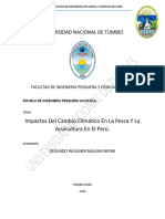 Ensayo Tumbes PDF