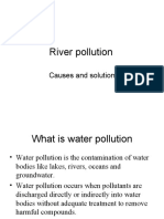 River Pollution: Causes and Solution