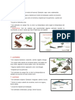 Animales Vertebrados 3er Grado 27 de Julio