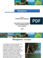 Ecosistemas Marinos - 08. Manglares PDF