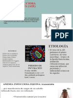 Anemia Infecciosa Equina (Aie)