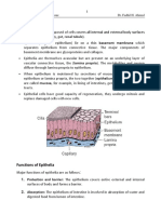 Epithelial Tissue