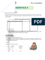 La Primer Ley de Mendel para Cuarto de Secundaria