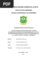 Evaluacion de La Incidencia de Enfermedades en Palma Aceitera